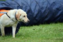 W2_chovatele_2-1536x922