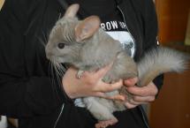 W6_chovatele_4-1536x1024