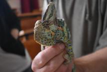 w4_DSC_0938-1536x1024