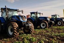 DP_2020_03_By-Adriana