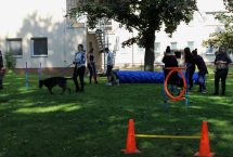 DP_2020_08_By-Sabca-1024x614