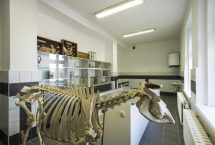 2Zemedelska_skola_-interier_02-1536x1025