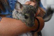 W2_DSC_0929-1536x1024