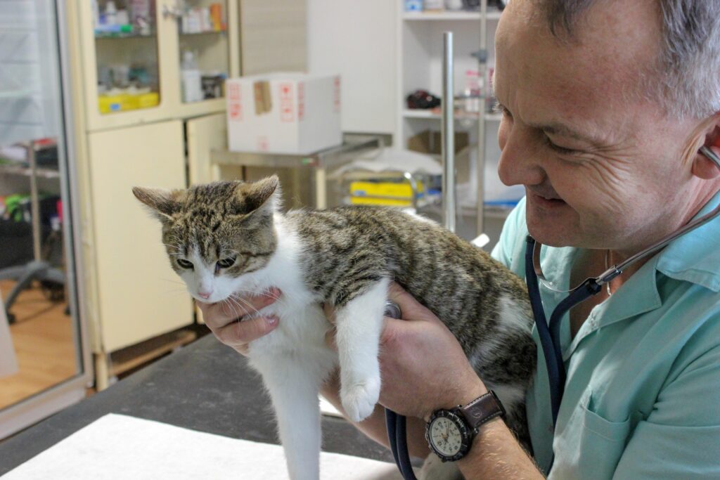 Veterinární ordinace PEDRO - SZeŠ a SOU Čáslav