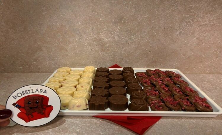 Studentská firma - SZeŠ a SOU Čáslav