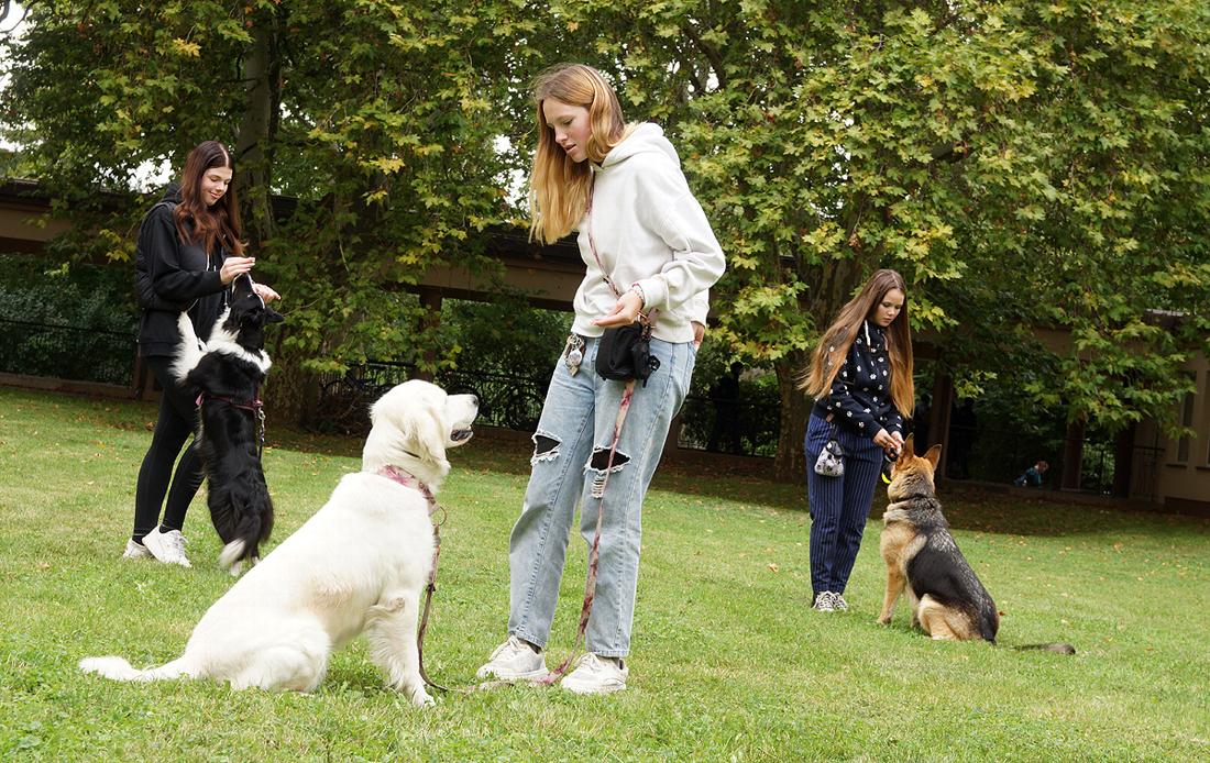 Maturitní obor: Agropodnikání – chovatelství