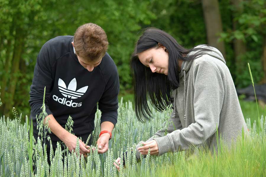 Agropodnikání – zemědělský provoz - SZeŠ a SOU Čáslav