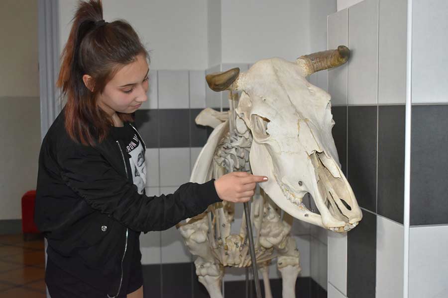 Maturitní obor: Veterinářství - SZeŠ a SOU Čáslav